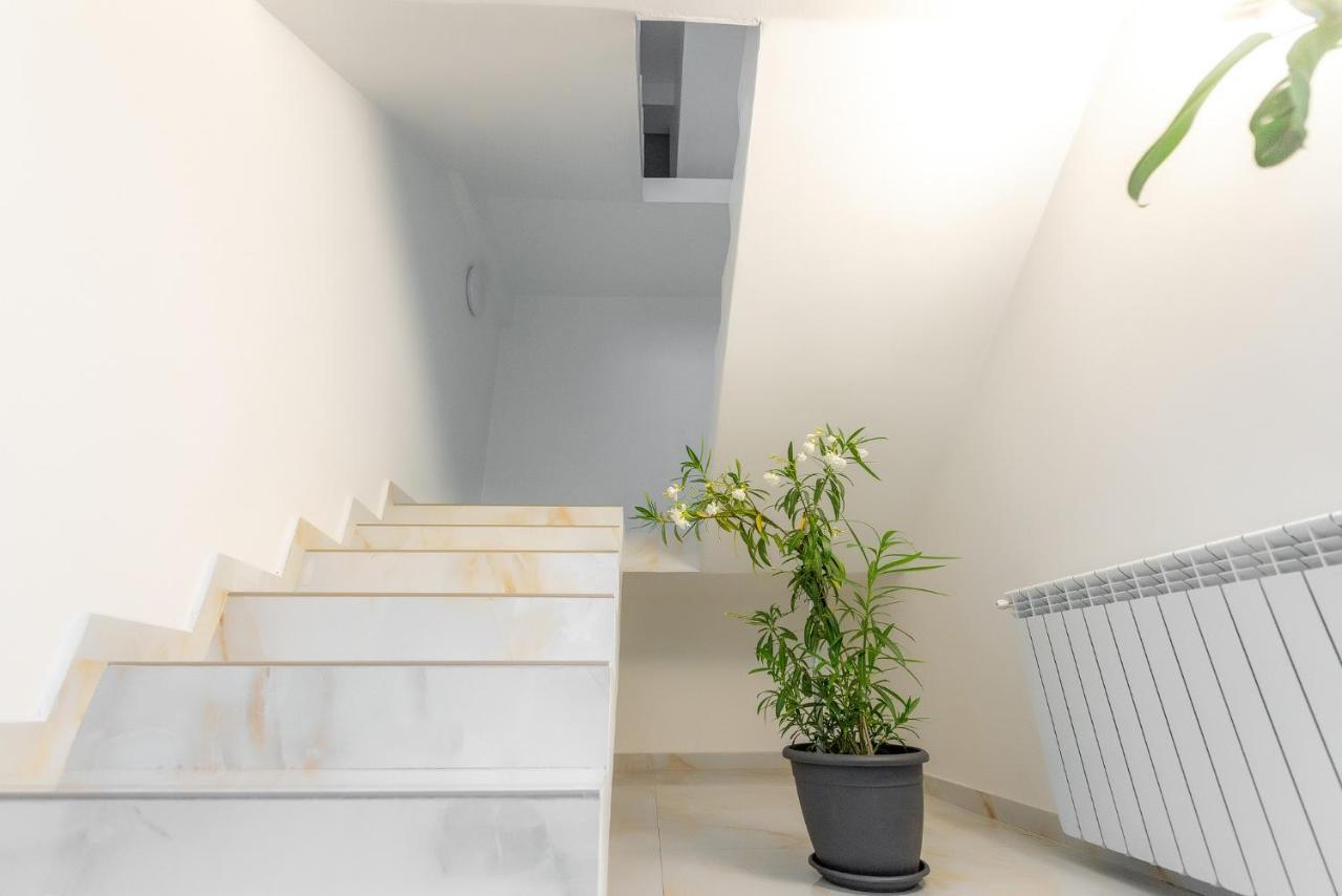 Casa Budulan 드로베타 투르누 세베린 외부 사진